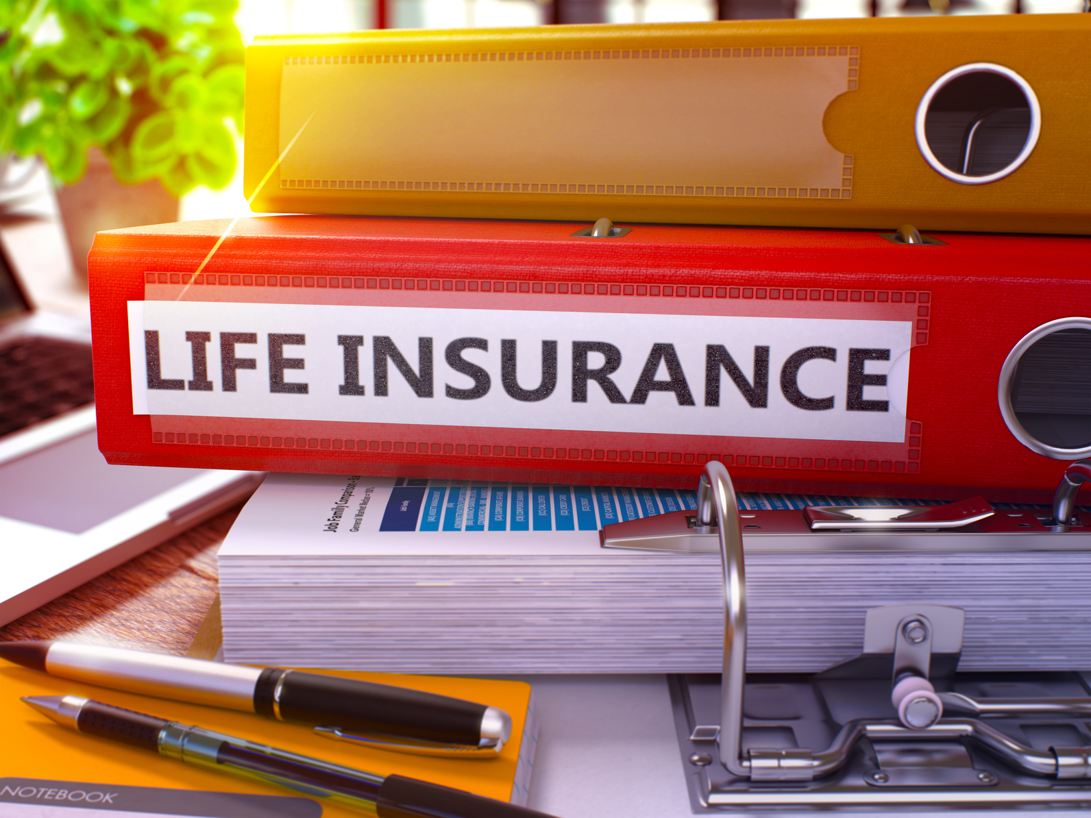 Life Insurance